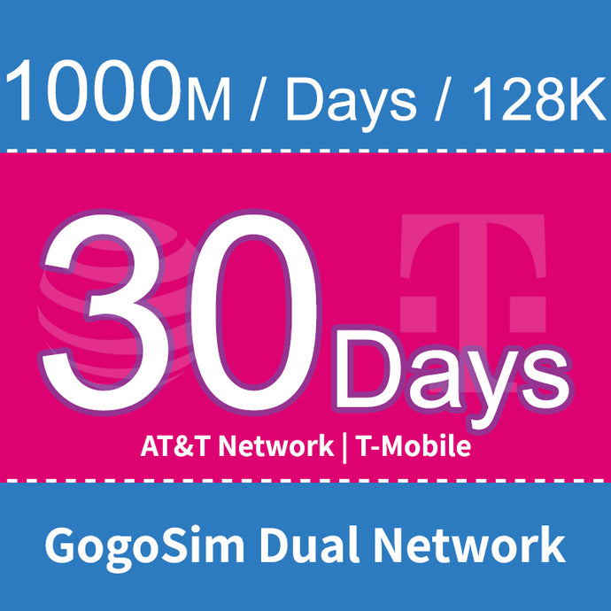 GSD-DUAL-1000HD30D