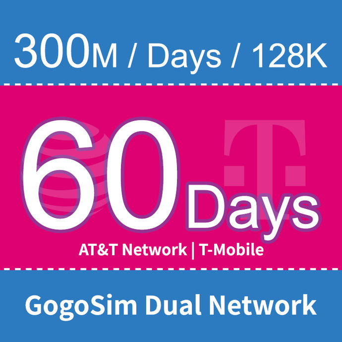 GSD-DUAL-300HD60D
